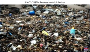 Environmental Pollution