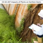 Impacts of Plants on Earthen Dams