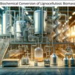 Biochemical Conversion of Lignocellulosic Biomass to Ethanol