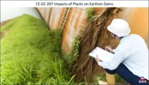 Impacts of Plants on Earthen Dams