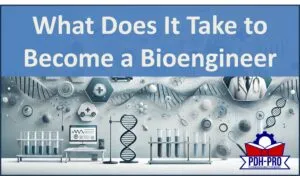 What Does It Take to Become a Bioengineer