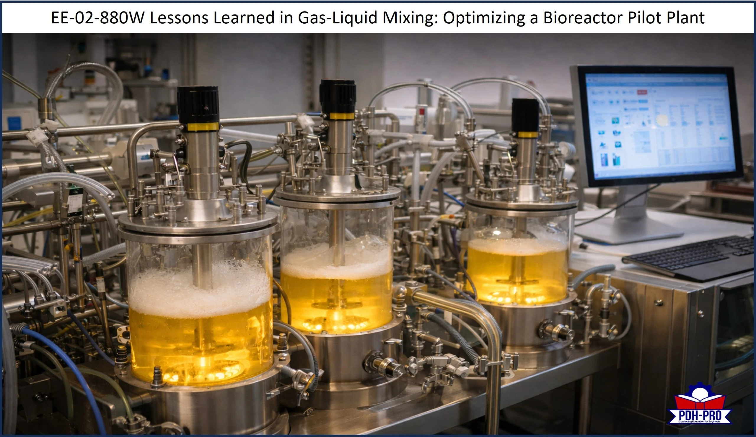 Lessons Learned in Gas-Liquid Mixing: Optimizing a Bioreactor Pilot Plant